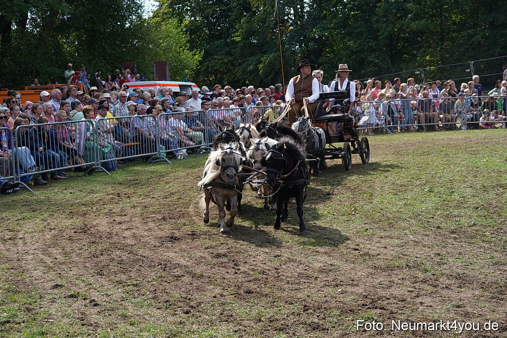 Pferde und Fohlenschau 2022 0306 